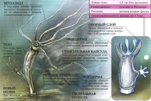 Кракен найдется все