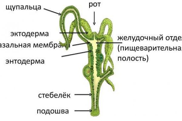 Дарк маркетплейс кракен